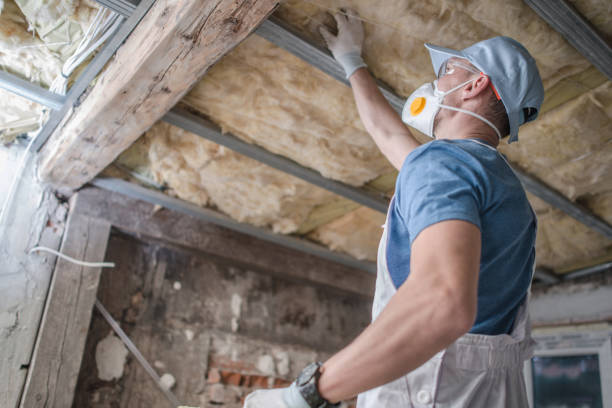 Best Eco-Friendly Insulation in Black Earth, WI